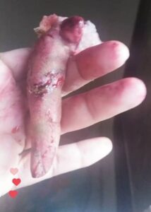 cbdcef04-b1ac-4a42-ab55-cd681e18a1c4